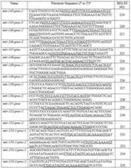 Figure imgf000023_0001