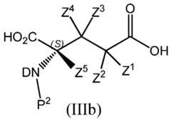 Figure imgf000024_0003