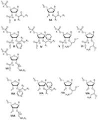 Figure imgf000030_0001