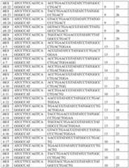 Figure imgf000702_0001