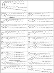 Figure imgf000034_0001