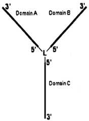 Figure imgf000067_0001