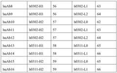 Figure BDA0003528168000000501