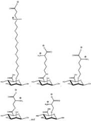 Figure imgf000021_0001