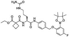 Figure BDA0004113777320001901