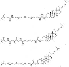 Figure imgf000012_0001