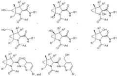 Figure imgf000108_0002