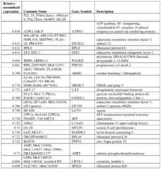 Figure imgf000045_0002