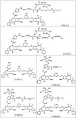 Figure BDA0003285627320001041