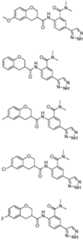 Figure imgf000004_0001