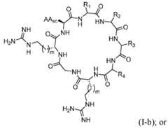 Figure imgf000255_0001
