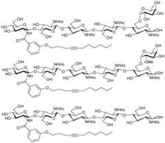 Figure imgf000011_0002