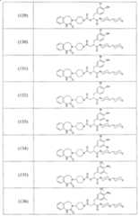 Figure A2006800095860027C1