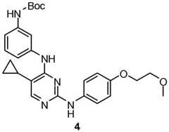 Figure BDA0001453135130002451