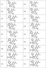 Figure FDA0003141290400000131