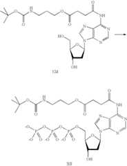 Figure US07727713-20100601-C00076