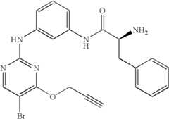 Figure US07504410-20090317-C00100