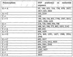 Figure imgf000251_0003
