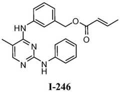 Figure BDA0001453135130002962