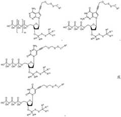 Figure BDA0003670511740001421