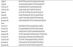 Figure BDA0002367994310000041