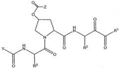 Figure imgf000559_0001