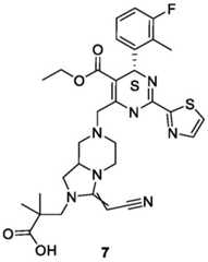 Figure BDA0003122494520001061