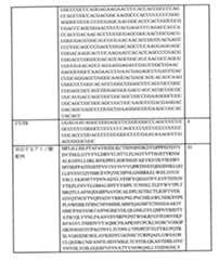 Figure 0007438604000039