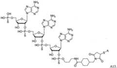 Figure imgf000012_0002