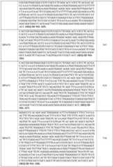 Figure imgf000114_0001