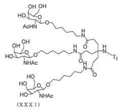 Figure 2023012548000370