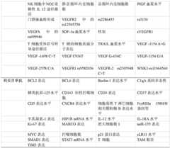 Figure BDA0002364618980000671