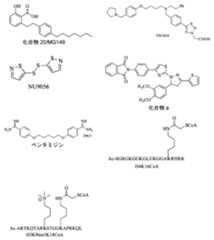 Figure 2024133637000003