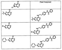 Figure 112007011503269-PCT00146