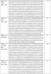 Figure imgf000081_0001