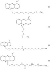 Figure BDA0003570170000000251