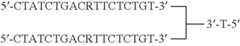 Figure US07276489-20071002-C00077