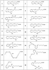 Figure imgf000008_0001