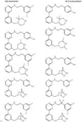 Figure imgf000118_0001