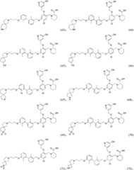 Figure GPA0000293149040000301