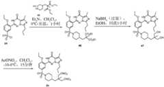 Figure BDA0003088137000001081