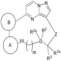 Figure pat00102