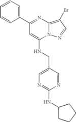 Figure US07119200-20061010-C01665