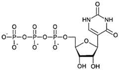 Figure imgf000060_0002