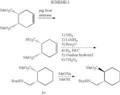 Figure US06958384-20051025-C00012