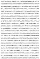 Figure 104109152-A0202-12-0121-85