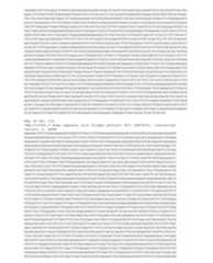 Figure imgf000528_0001