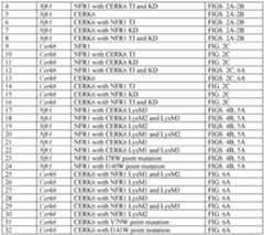 Figure imgf000125_0001