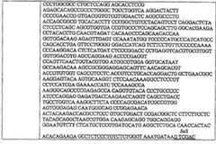 Figure 2009100099321A00800711