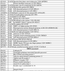 Figure imgf000250_0001